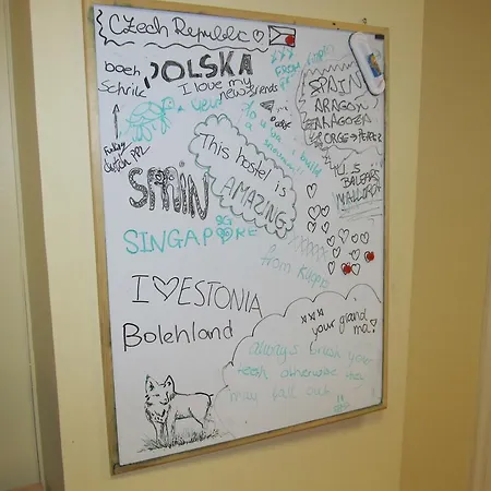 Daire Flatmanagement Kaupmehe